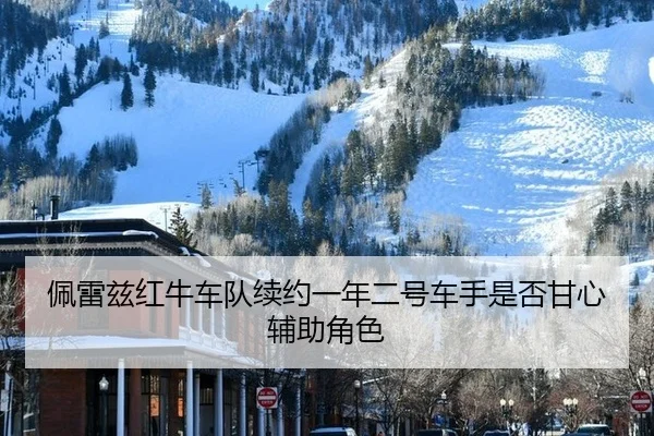 pei-lei-zi-hong-niu-che-dui-xu-yue-yi-nian-er-hao-che-shou-shi-fou-gan-xin-fu-zhu-jue-se-3-163.jpg